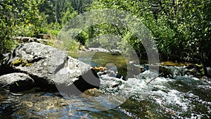 Babbling Brook in the Deep Woods