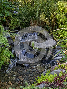 Babbling Brook Flows Over Stone