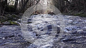 Babbling brook flows downhill in the Catskills Park Preserve