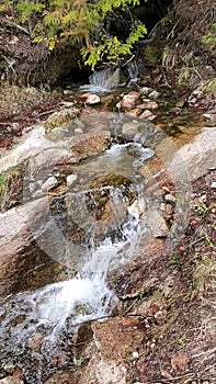 Babbling brook in the mountains