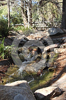 Babbling brook by a rustic bridge