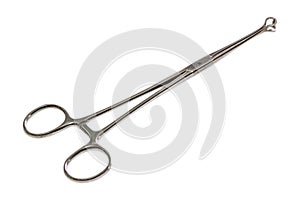 Babcock forceps