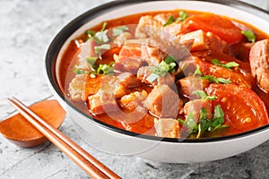 Babi Tomat Pork belly stewed with tomatoes, onions, sweet soy sauce and spices close-up in a bowl. Horizontal