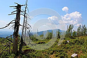 Babia Gora Mountain - Beskid Zywiecki, Poland photo