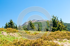 Babia GÃ³ra, Babia hora mountain, Western Beskidy, panoramic