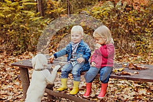 Babies and doggy in the autumn park