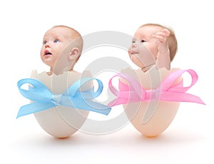 Babies in eggs