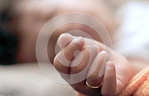 Babies Hand Close Up