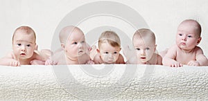Babies on a light background