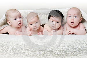 Babies on a light background photo