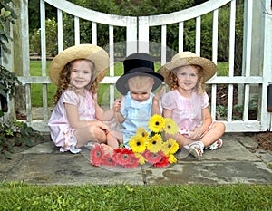 Babies at my gate photo