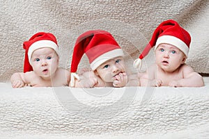 Babies with santa hats on bright background