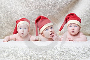 Babies with santa hats on bright background