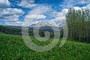 Babine Mountain Recreation Area in Spring