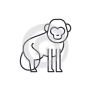 Baboon line icon concept. Baboon vector linear illustration, symbol, sign photo