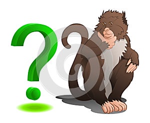 Baboon sitting with question mark