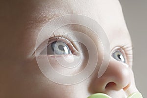 Baby (6-12 months) looking up close up