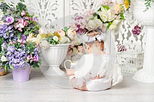 Baby with angel wings among flowers, valentine`s day concept, rear view