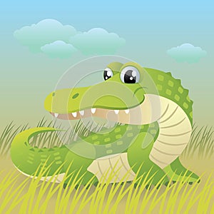 Baby Animal collection: Crocodile