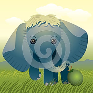 Baby Animal collection: Elephant