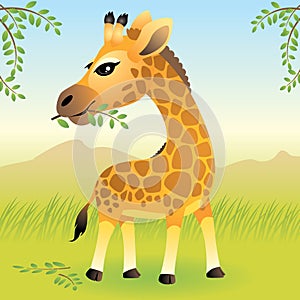 Baby Animal collection: Giraffe