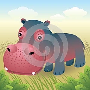 Baby Animal collection: Hippo