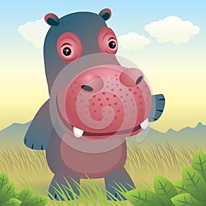 Baby Animal collection: Hippo