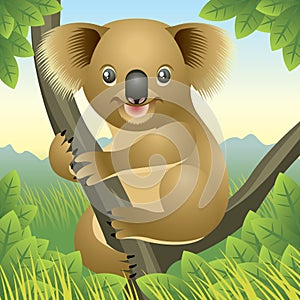 Baby Animal collection: Koala