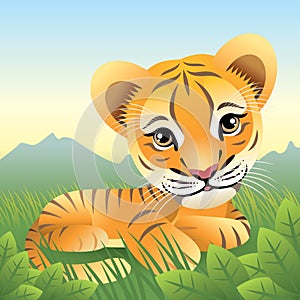 Baby Animal collection: Tiger