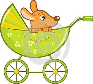 Baby animal in the green stroller