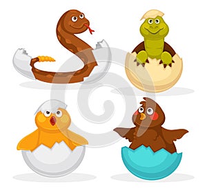 Baby animals hatch eggs or cartoon pets hatching. Vector flat isolated funny toy icons