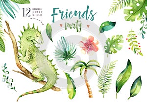 Baby animals nursery isolated illustration for children. Watercolor boho tropical drawing, child cute tropic iguana