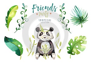 Baby animals nursery isolated illustration for children. Watercolor boho tropical drawing, child cute tropic punda. Baby