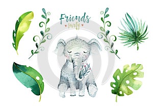 Baby animals nursery isolated illustration for children. Watercolor boho tropical drawing, child cute tropic turtle