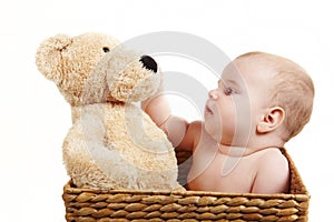 Baby in backet with big bear photo