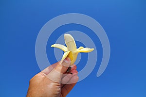 Baby banana fruit over blue sky background.