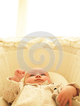 Baby in Bassinet