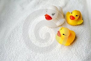 Baby bath toys white and yellow ducks on towel, copy space