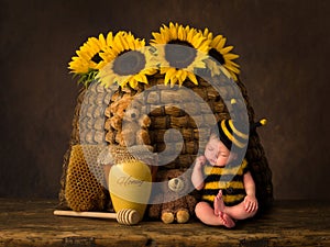 Baby bee and antique beehive