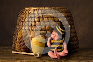 Baby in bee outfit and real beehive