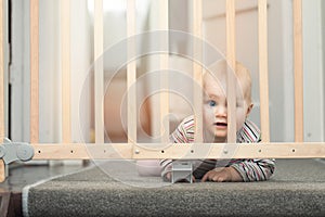 Baby behind safety gates in front of stairs