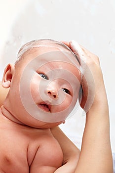 Baby being shampooed