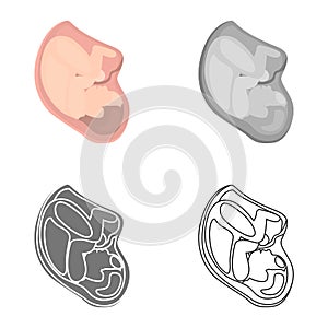 Baby in belly is colored flat, line, simple and monochrome icon set