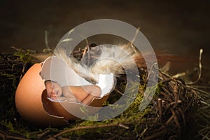 Baby in birds nest