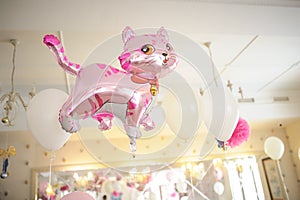 Baby birthday decor or baby shower decor pink cat