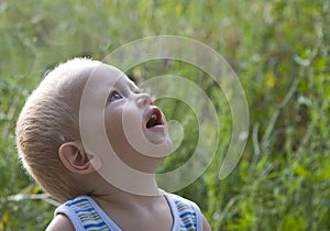 Baby blond boy summer outdoors