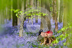 Baby in bluebell forest