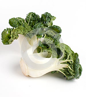 Baby bok choy isolated