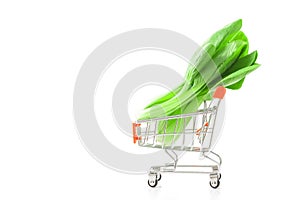 Baby bok choy in shopping cart. Healthy food for good healt. Veg