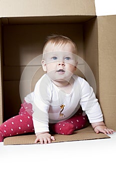 Baby in a box